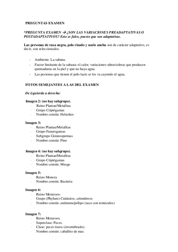 Miniatura del documento Preguntas-examen.pdf