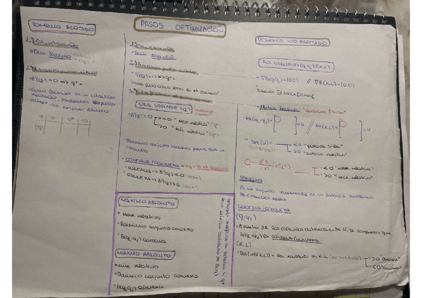 Miniatura del documento Ejercicios-optimizacion-resueltos-y-explicados.pdf