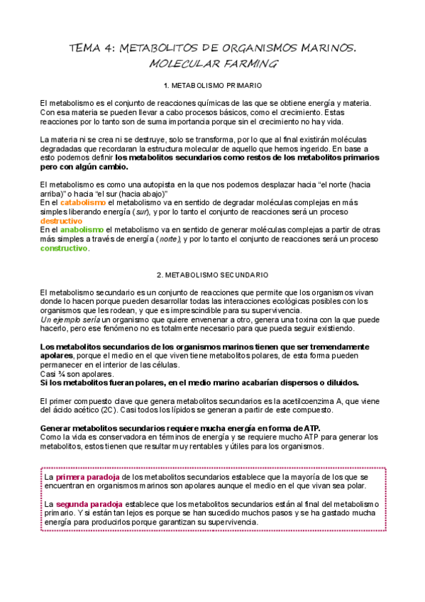 Miniatura del documento T4_Metabolitos de organismos marinos.pdf