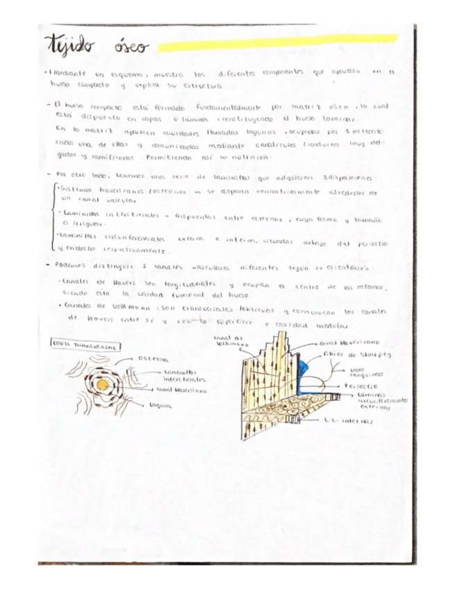 Miniatura del documento Preguntas-examen.pdf