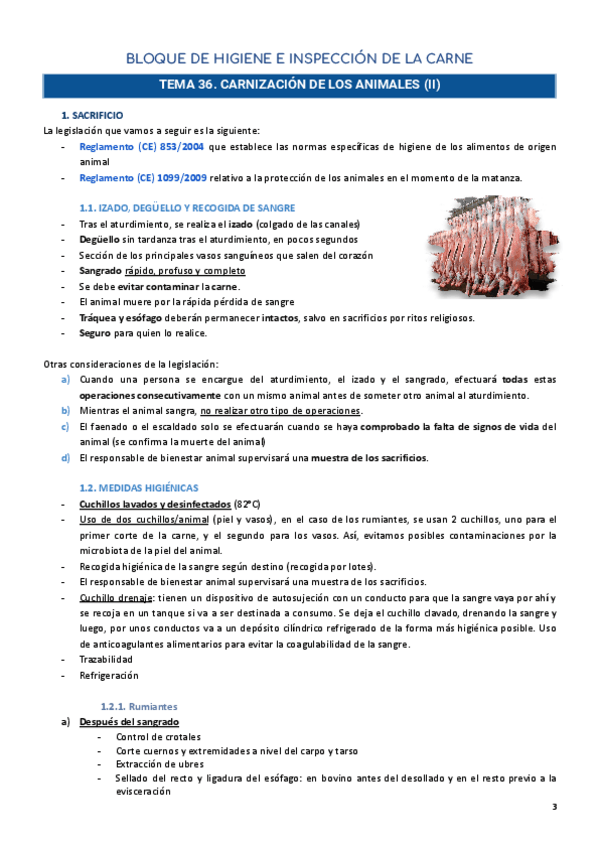 Miniatura del documento BLOQUE-CARNE.pdf