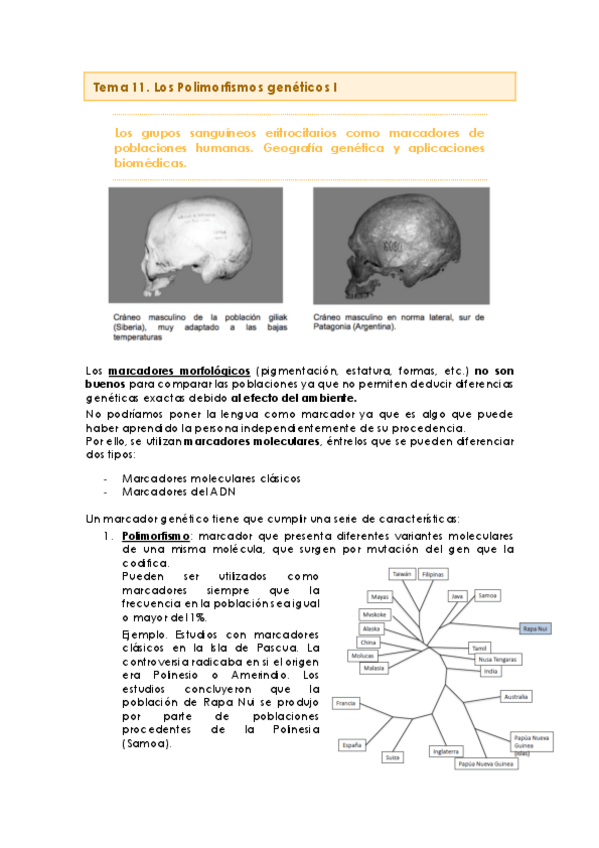 Miniatura del documento Antropología II Limpio.pdf