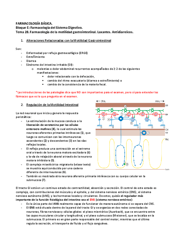Miniatura del documento Tema-28-Farmacos-Motilidad-GI.pdf