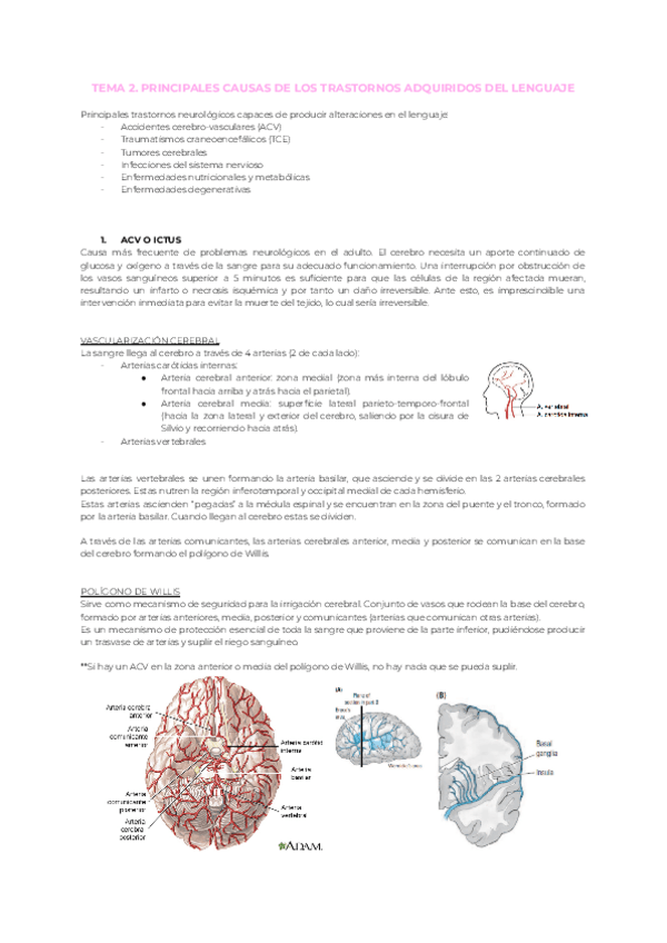 Miniatura del documento Tema-2.-Principales-causas-de-los-trastornos-adquiridos-del-lenguaje.pdf