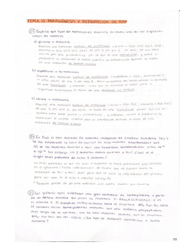 Miniatura del documento Problemas-Tema-12.pdf