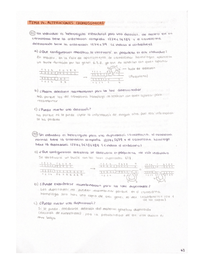 Miniatura del documento Problemas-Tema-14.pdf