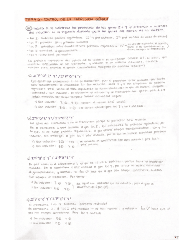 Miniatura del documento Problemas-Tema-16.pdf