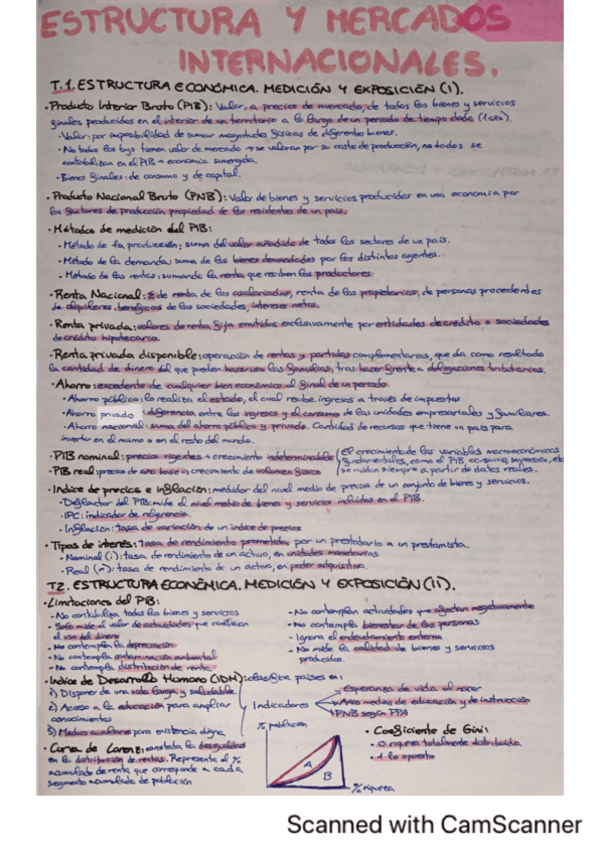 Miniatura del documento Apuntes-todo-Estructura-y-mercados-inter.pdf