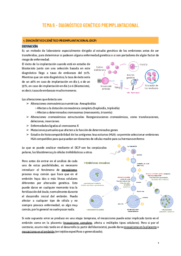 Miniatura del documento TEMA-6.pdf