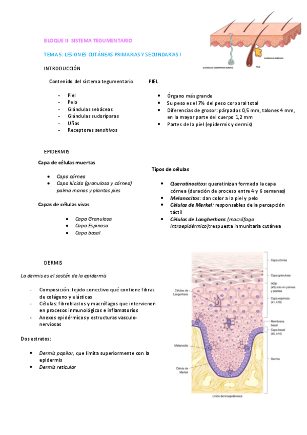 Miniatura del documento PDF-BLOQUE-II.pdf