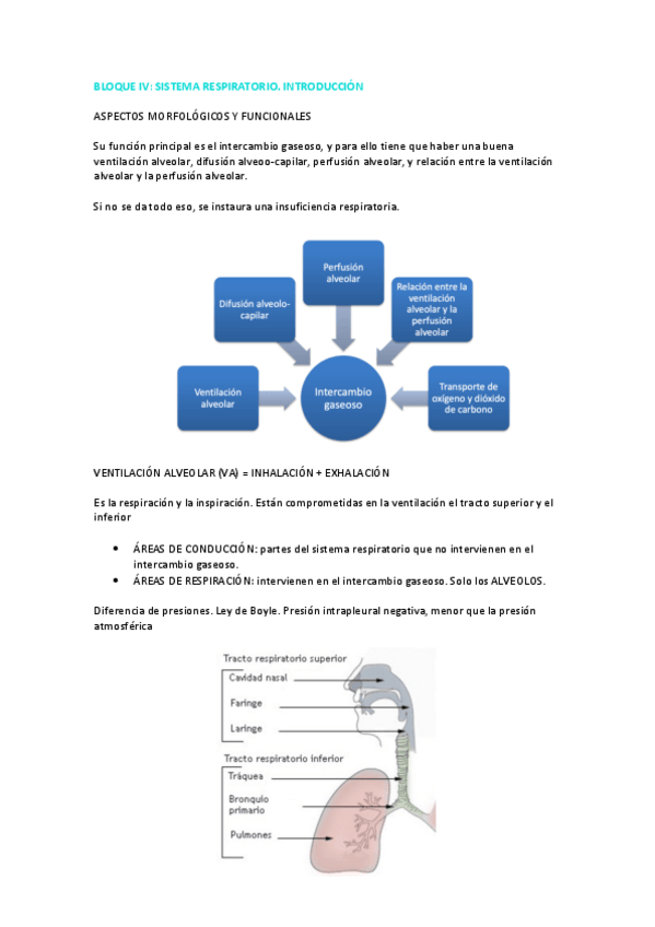 Miniatura del documento PDF-BLOQUE-IV.pdf