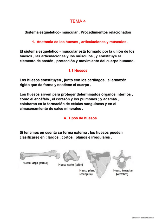 Miniatura del documento Tema 4.pdf
