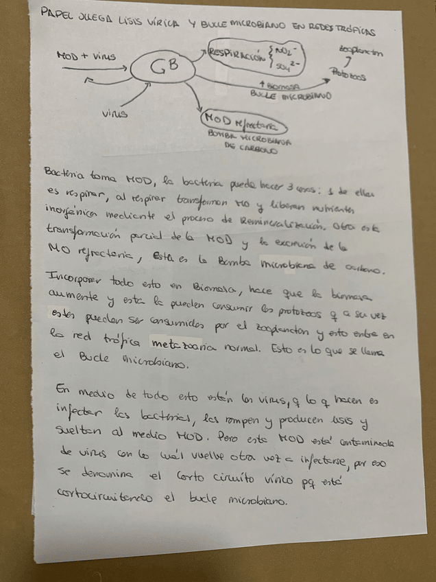 Miniatura del documento Pregunta-Examen-Aristegui.jpeg