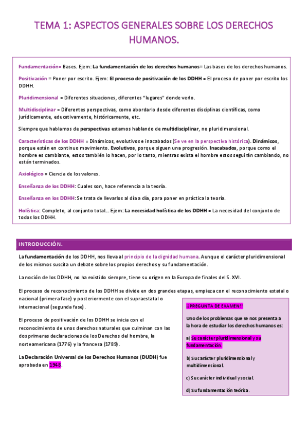Miniatura del documento RESUMEN-TEMA-1-DDHH.pdf