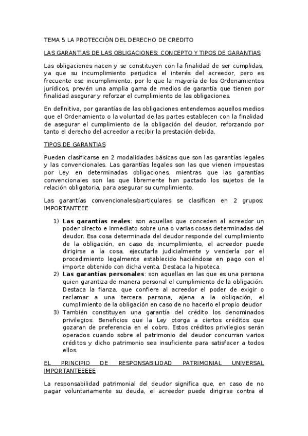 Miniatura del documento TEMA-5-LA-PROTECCION-DEL-DERECHO-DE-CREDITO.docx