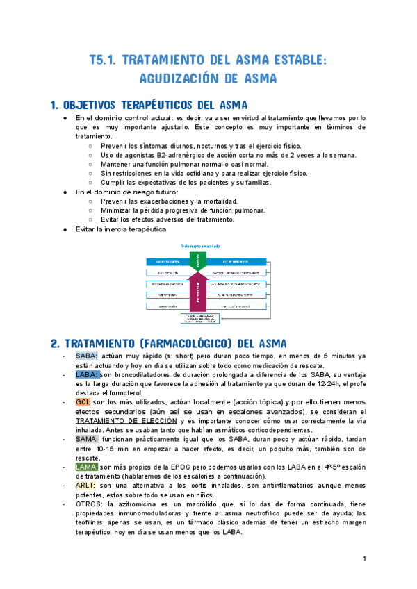 Miniatura del documento T5-ASMA-II-Y-CRISIS-ASMATICA.pdf