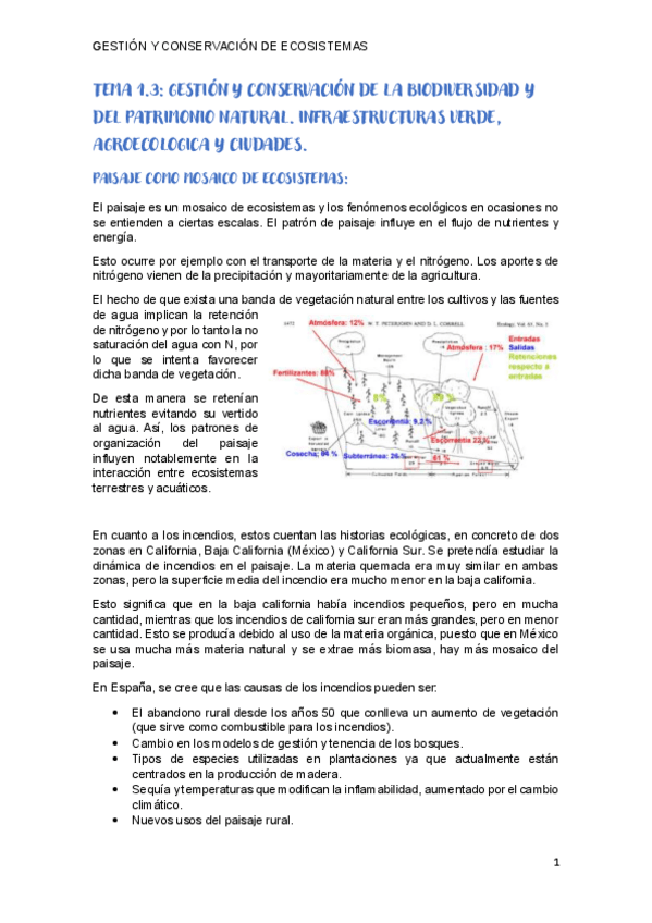 Miniatura del documento TEMA-1.3-completo.pdf