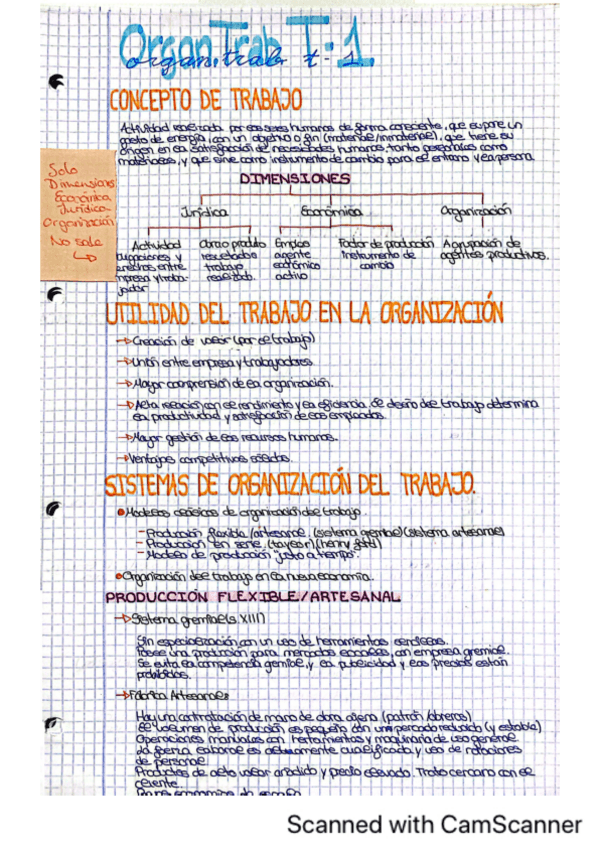 Miniatura del documento Tema-1-organizacion-del-trabajo.pdf