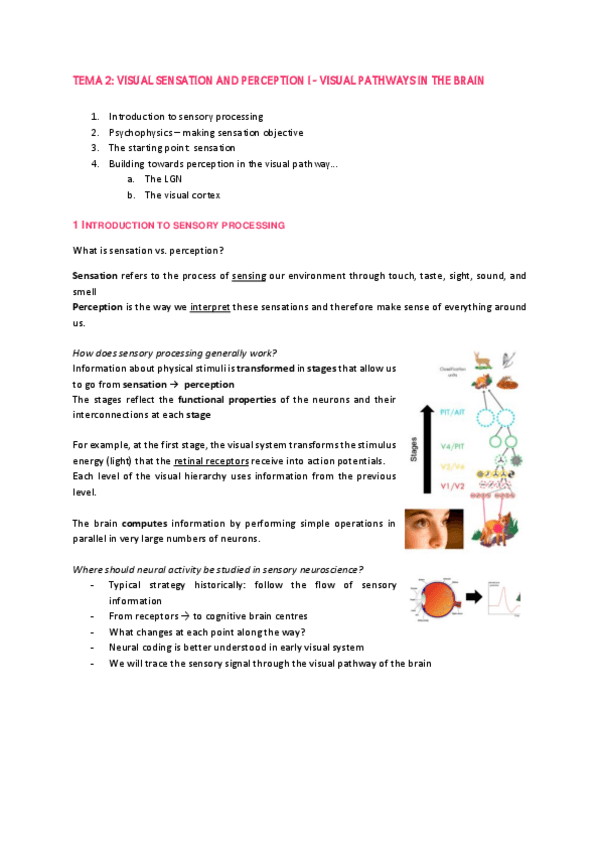 Miniatura del documento Lecture-3-Visual-Sensation-and-perception-I.pdf