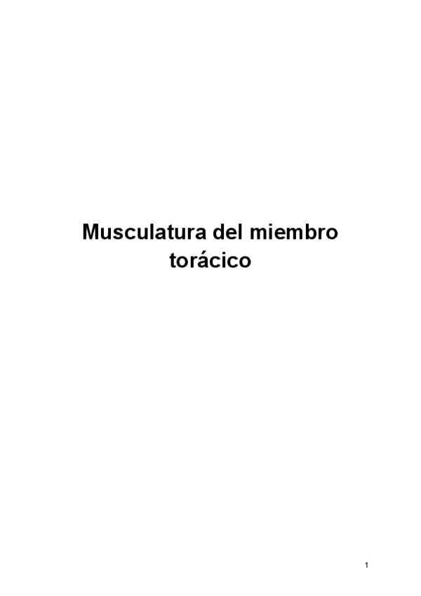 Miniatura del documento Musculatura-del-miembro-toracico.pdf