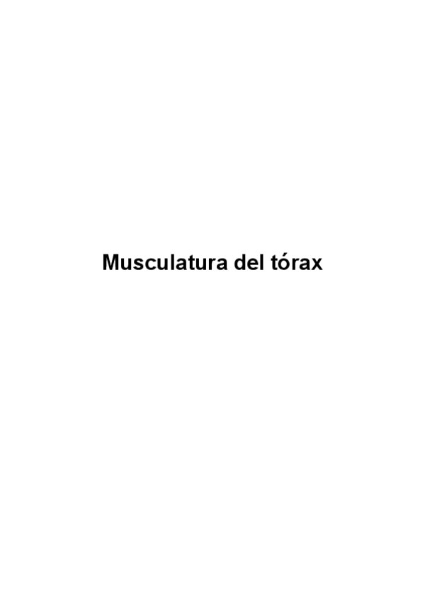 Miniatura del documento Musculatura-del-torax-cours.pdf