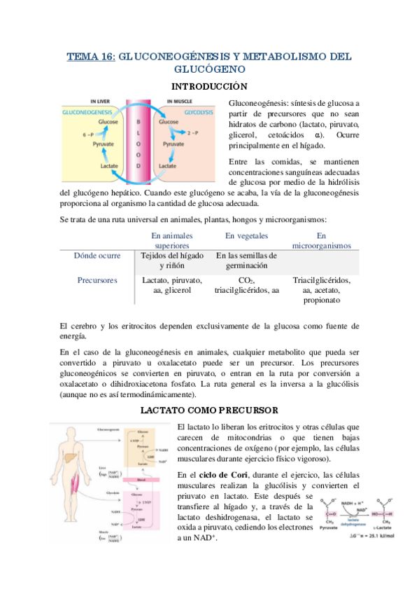 Miniatura del documento RESUMEN-T16.pdf