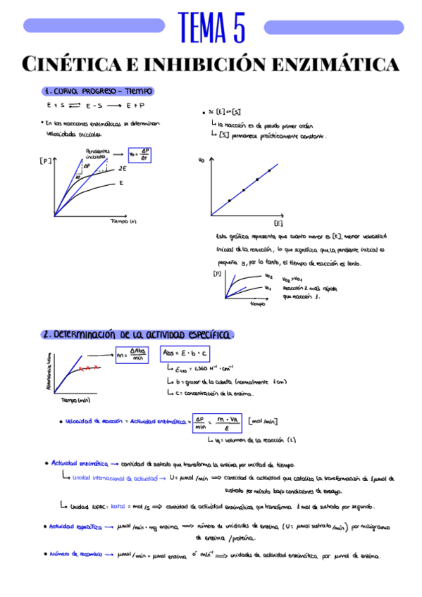 Miniatura del documento RESUMEN-T5.pdf
