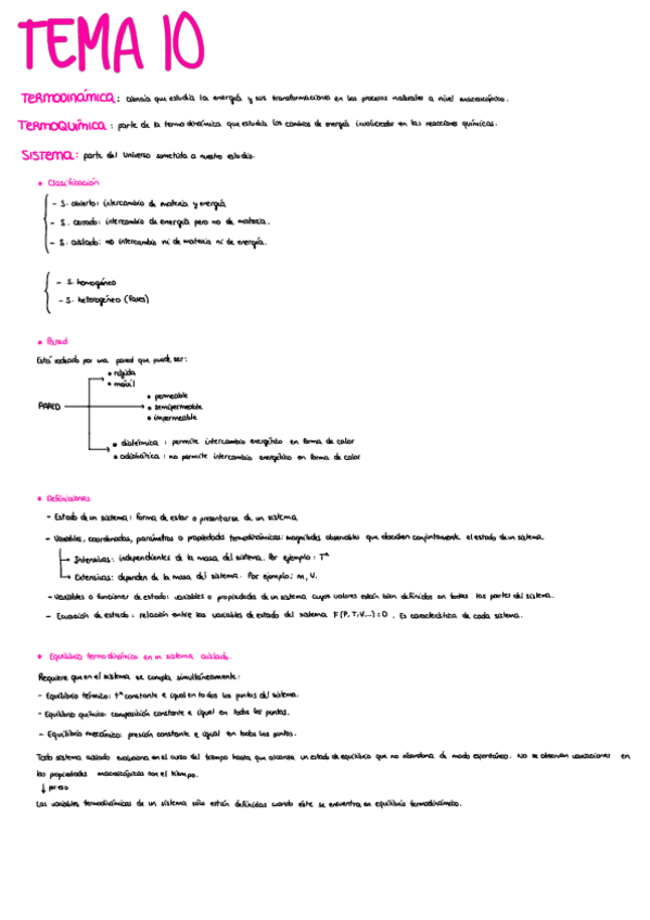 Miniatura del documento RESUMEN-T10.pdf