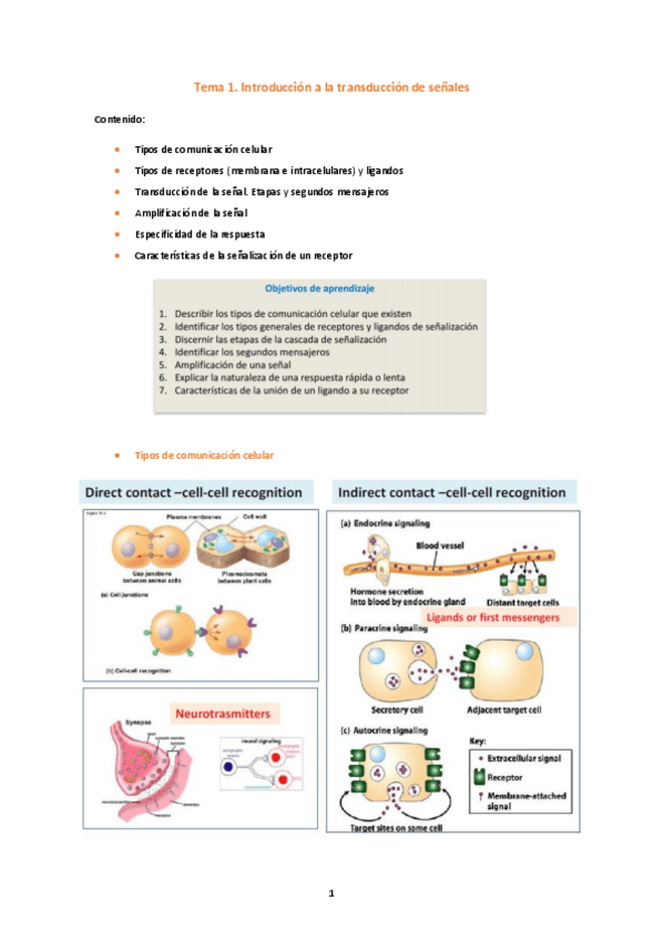 Miniatura del documento Tema 1.pdf
