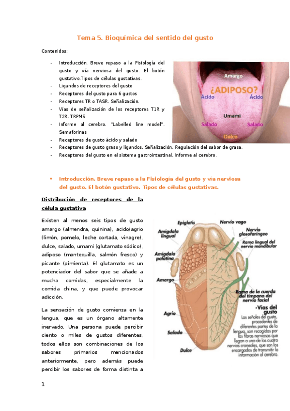 Miniatura del documento Tema 5 BH.docx