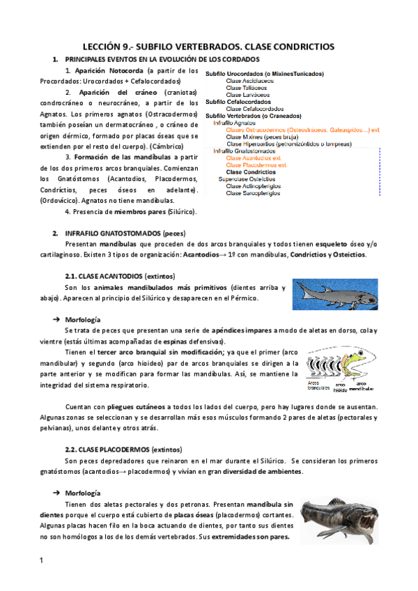 Miniatura del documento LECCION-9-ZOO.pdf