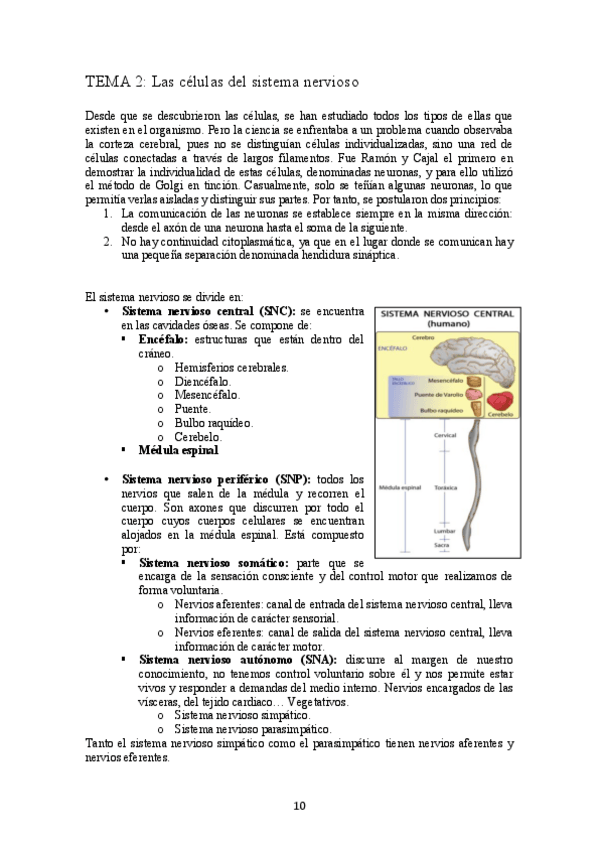 Miniatura del documento TEMA 2.pdf