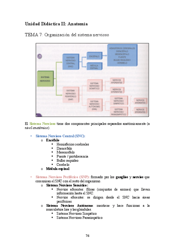 Miniatura del documento TEMA 7.pdf