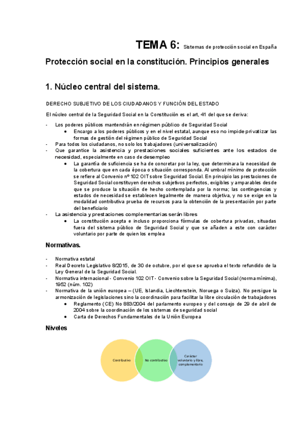 Miniatura del documento TEMA-6.pdf