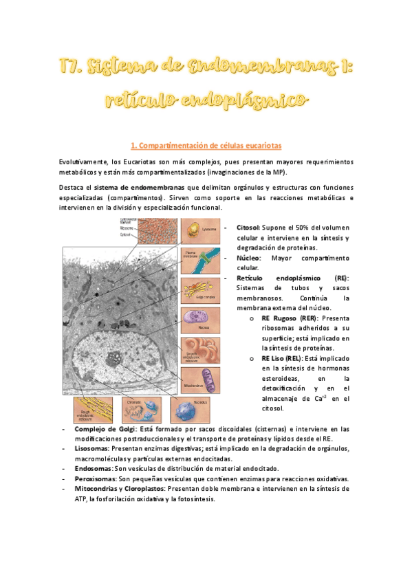 Miniatura del documento T7-Completo.pdf
