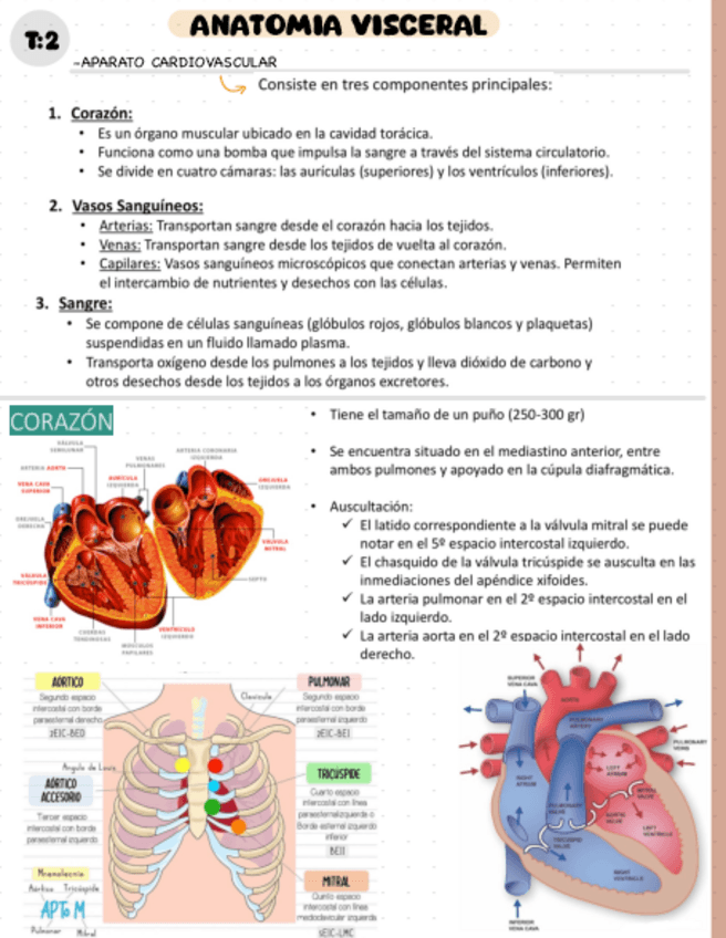 Miniatura del documento T2.pdf