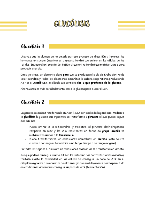 Miniatura del documento TEMA-3-GLUCOLISIS.pdf