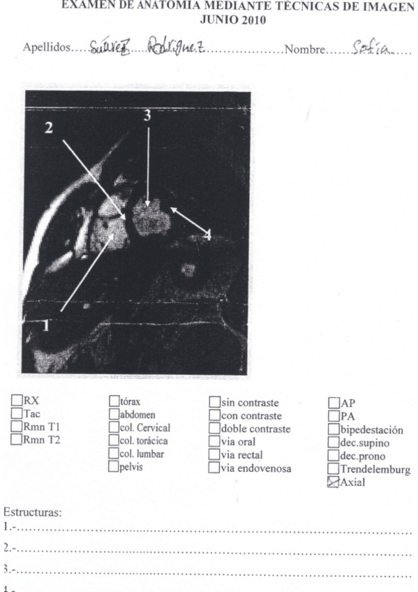 Miniatura del documento Examen-2010.pdf