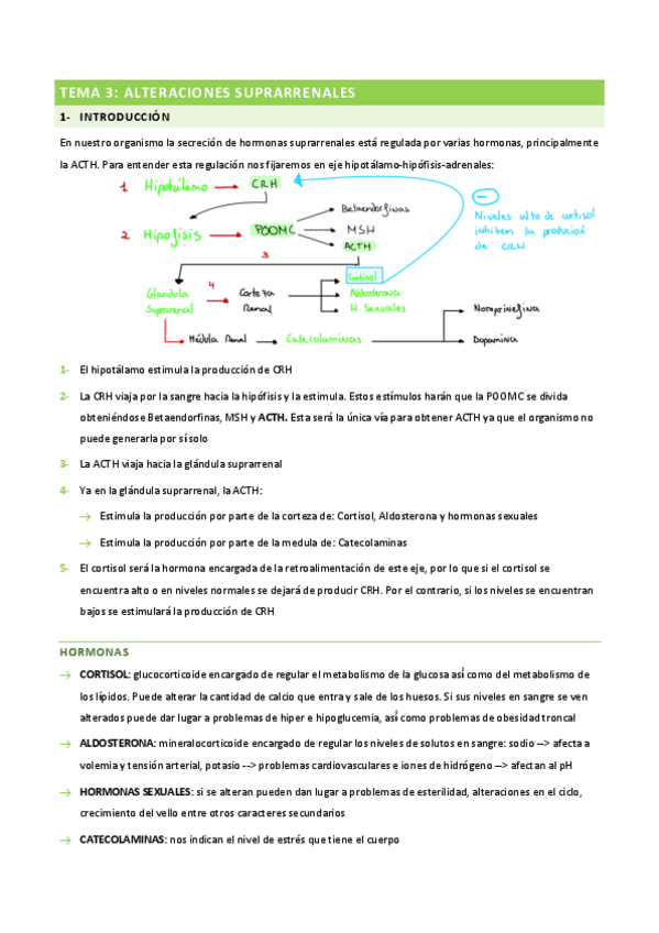 Miniatura del documento TEMA-3-ADULTO.pdf
