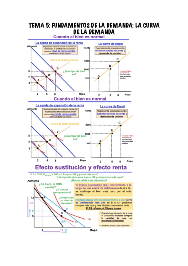 Miniatura del documento TEMA-5-La-curva-de-demanda.pdf