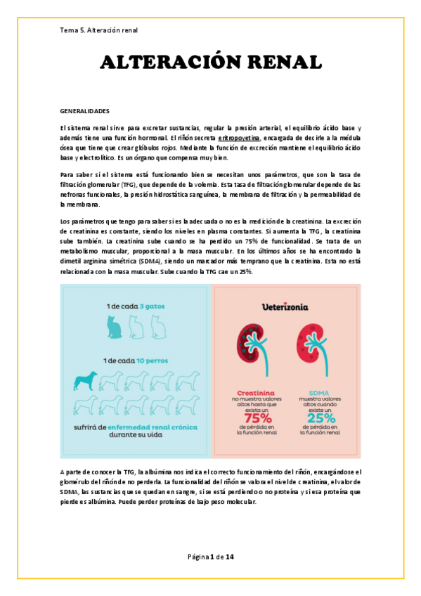 Miniatura del documento Apuntes.-Alteraciones-renales.pdf