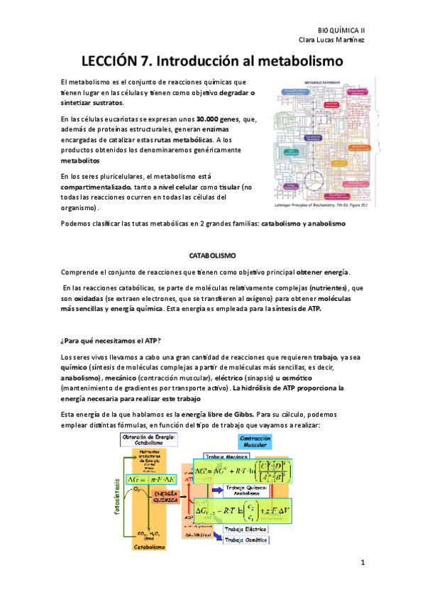 Miniatura del documento LECCION-7.-Introduccion-al-metabolismo.pdf