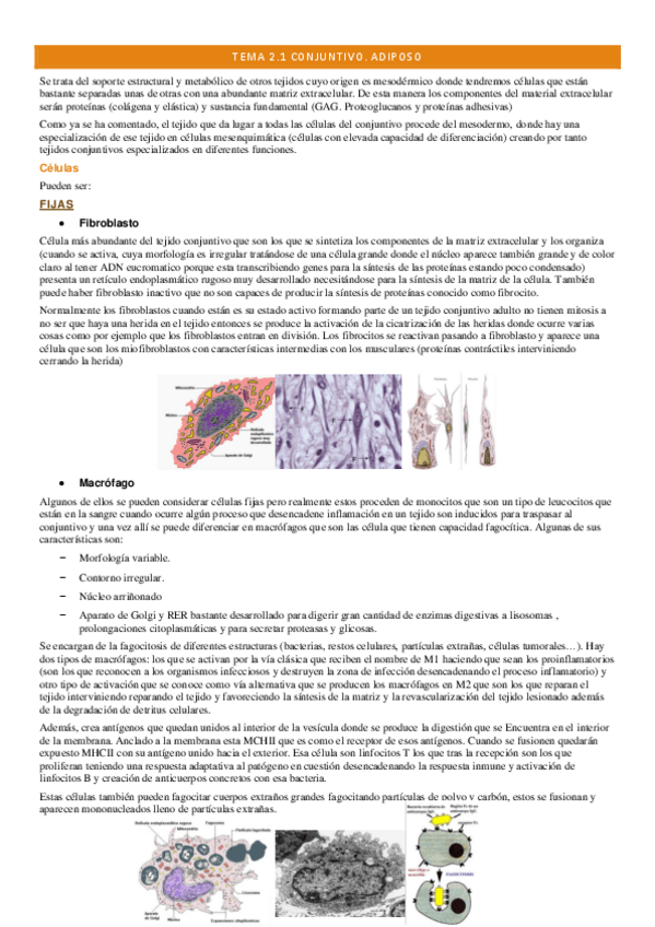 Miniatura del documento TEMA-2.1-BCH.pdf