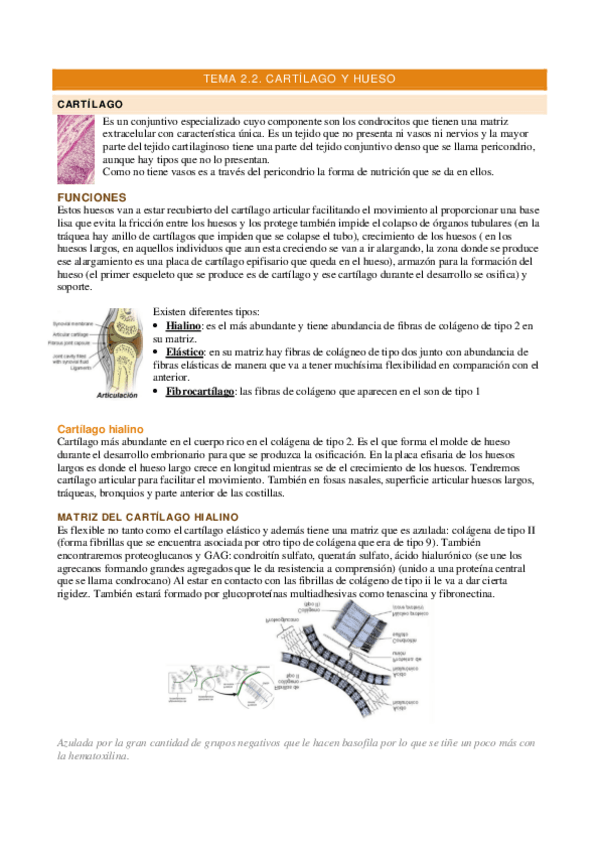 Miniatura del documento Tema-2.2.-BCH.pdf
