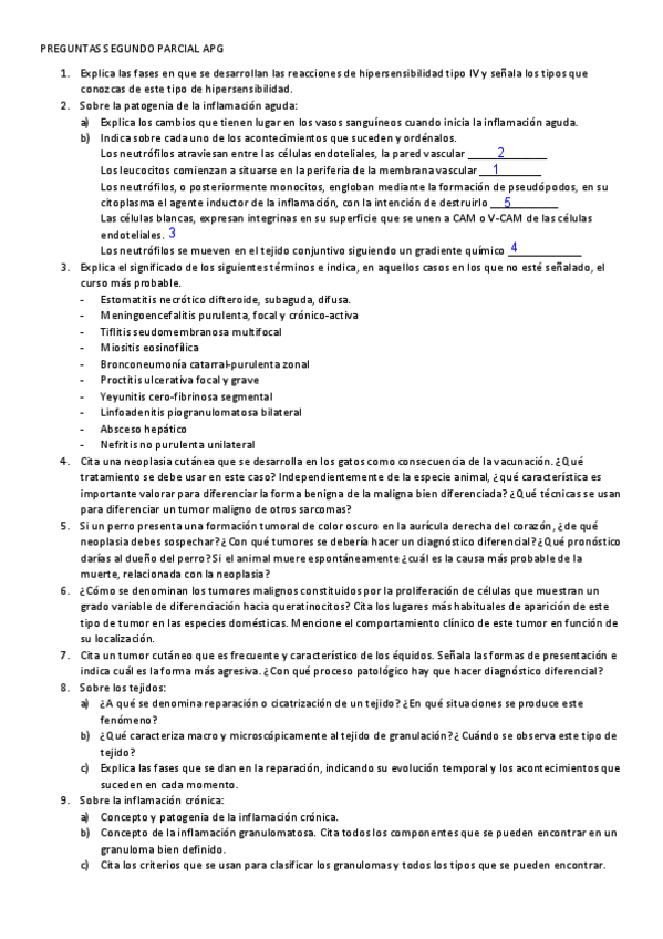 Miniatura del documento PREGUNTAS-SEGUNDO-PARCIAL-APG.pdf