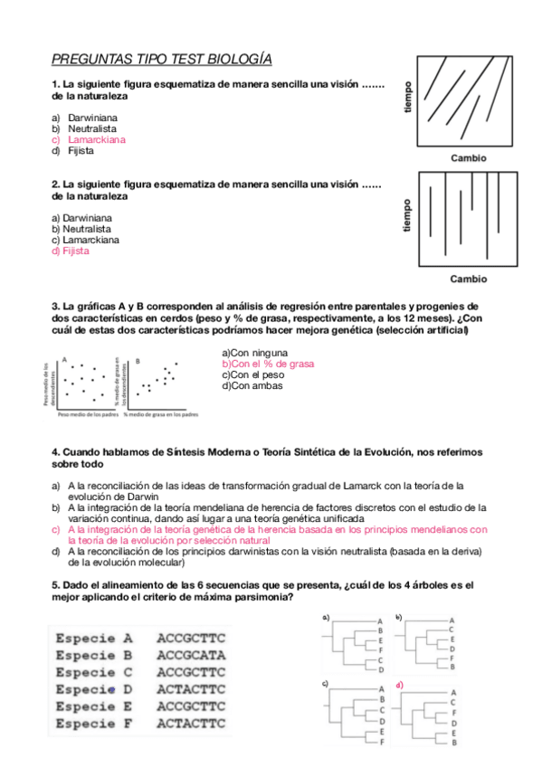 Miniatura del documento PREGUNTAS-CORREGIDAS-EXAMEN.pdf