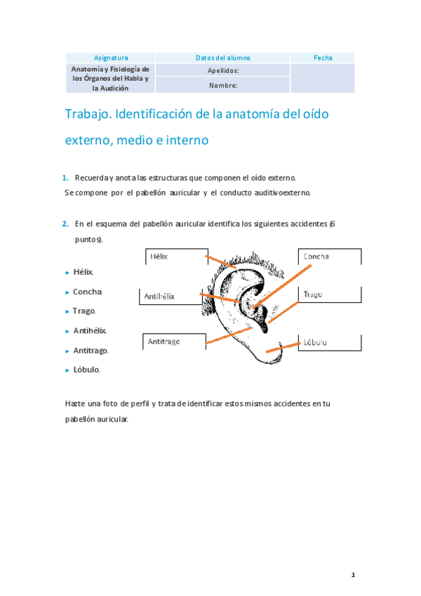 Miniatura del documento Anatomia-actividad-2-hecha.pdf