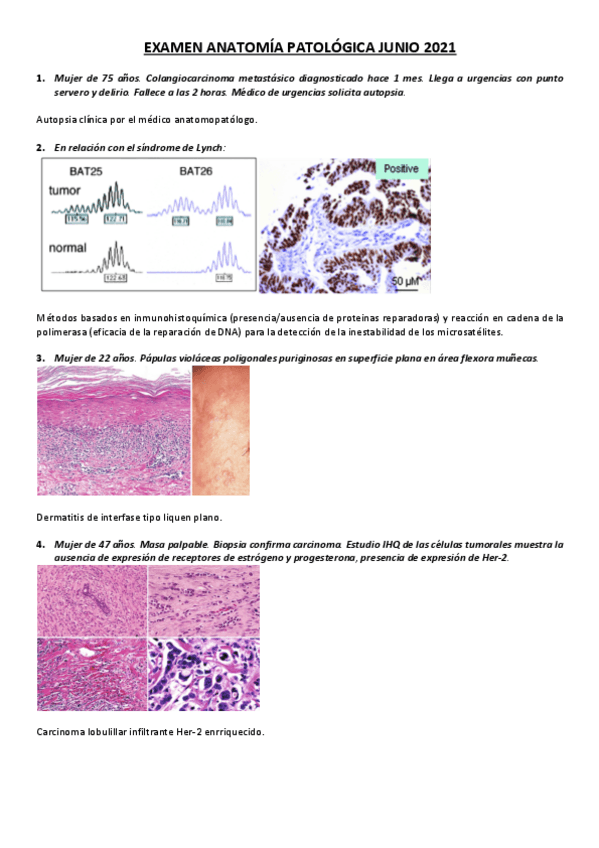 Miniatura del documento EXAMEN-AP-JUNIO-2021.pdf