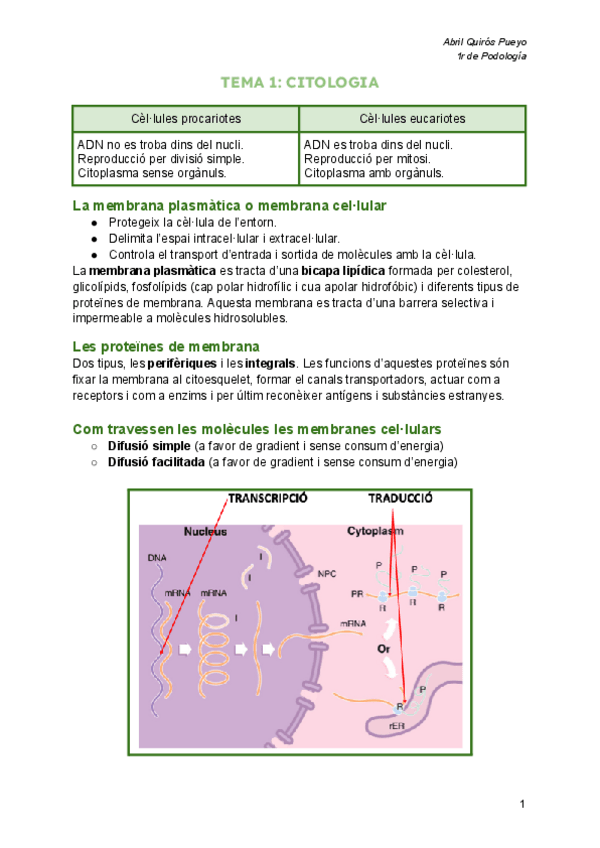 Miniatura del documento Apuntes-cellular-i-tissular.pdf