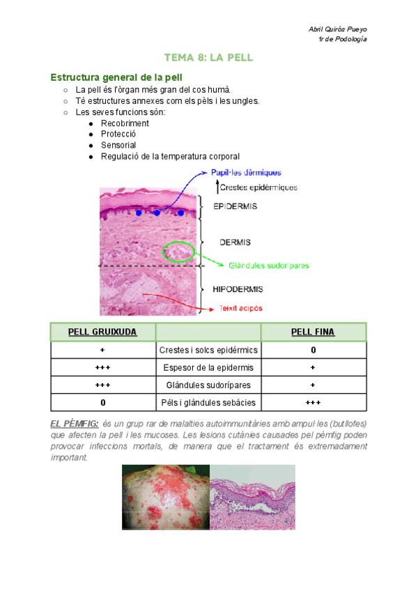 Miniatura del documento Continuacion-apuntes-cellular-i-tissular--RESUMEN-SEMINARIOS-1.pdf